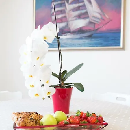 Apartman Daria Appartement Split